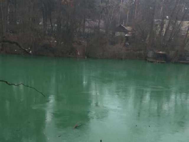 Вода в озере под Киевом стала ядовито-зеленой: сеть озадачили фото