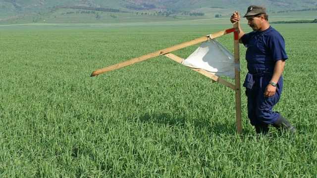 Алексей Кущ: “Эффект от либерализации рынка земли и приватизации будет мизерным”