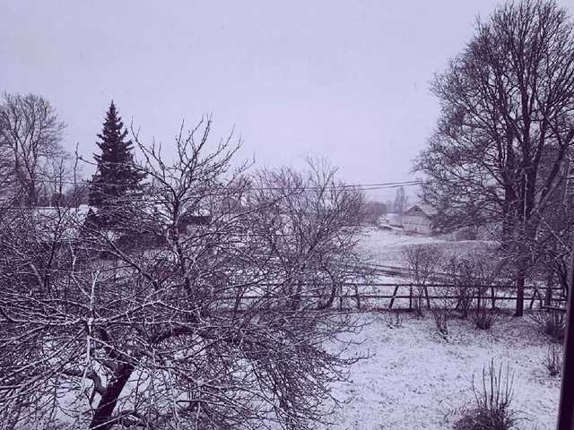 Українські Карпати завалило снігом