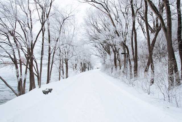 Дожди со снегом: синоптики сообщили об ухудшении погоды в Украине