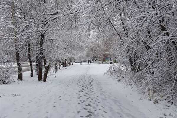 Снежный апокалипсис накроет Украину: к чему готовиться