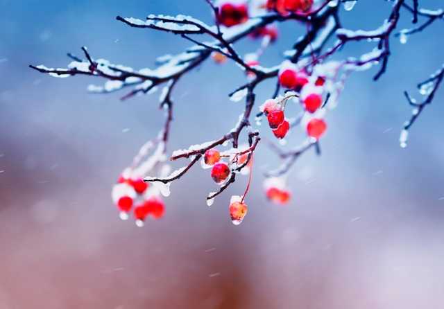 Зима відступить: синоптики заінтригували прогнозом на 5 грудня