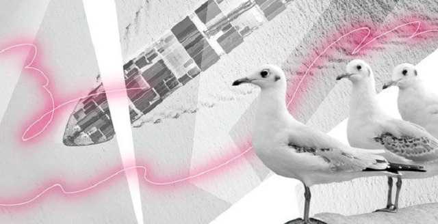 Крымский “черный” архив. Часть 2: Кипрские паромы для “зеленых человечков”