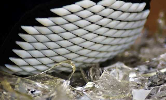 Ученые создали подвижную броню на основе строения панцирных моллюсков