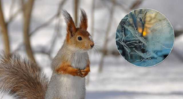 В Украину идет существенное похолодание: Гидрометцентр назвал дату