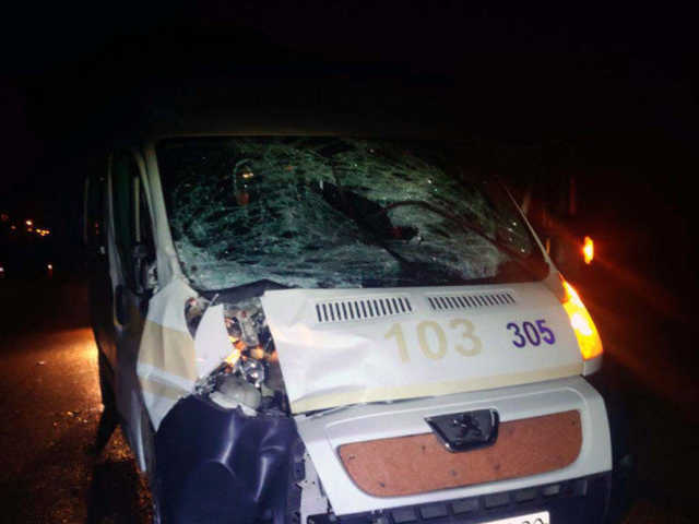 В Запорожье «скорая» по дороге в больницу сбила насмерть коня