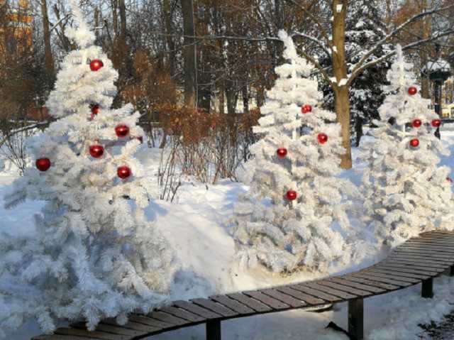 Снегопады на подходе: объявлено штормовое предупреждение