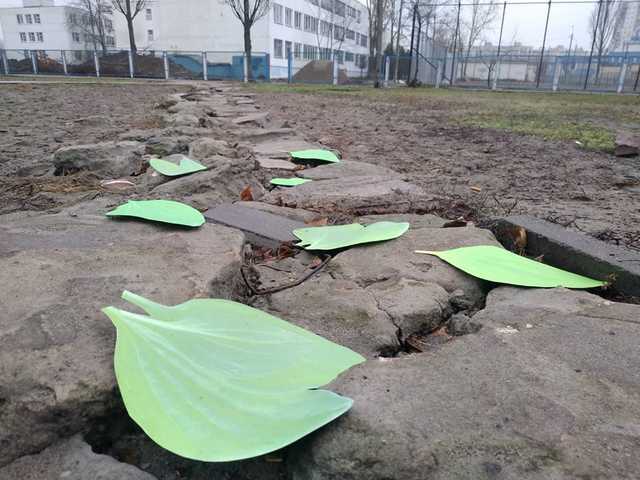 Мешканці столичної Оболоні “відремонтували” розбиту дорогу подорожником