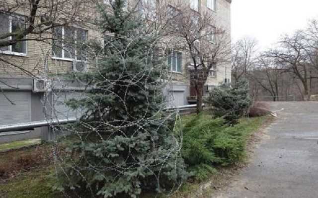 В России елки накануне Нового года "заковали" в проволоку: сеть взбудоражили фото