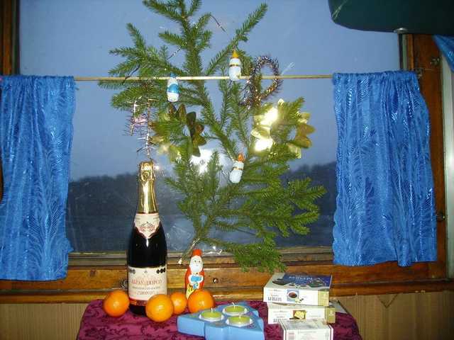 «Укрзализныця» сообщила, сколько пассажиров отметят Новый год в поезде