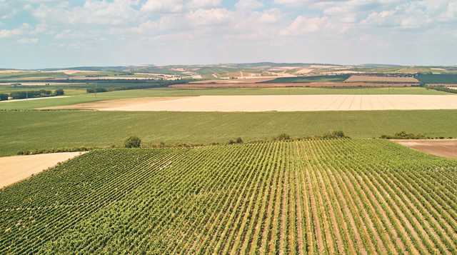 Украинцам дадут деньги за отказ от земли: сколько на руки