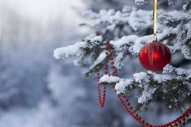 Снег и гололед: какой будет погода в Украине в канун Нового года