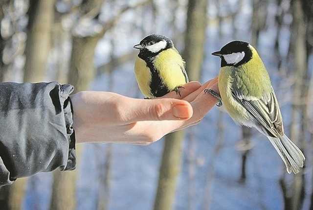 Плюсовая температура и мокрый снег: синоптики дали теплый прогноз на субботу в Украине