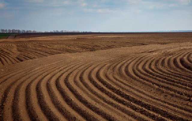 Що передбачається в остаточній редакції законопроекту про ринок землі