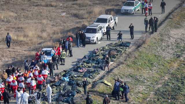 Опубликованы кадры с места крушения самолета МАУ в Иране