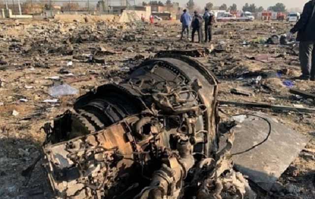 "Ошибка пилотов минимальна": в МАУ прокомментировали катастрофу в Иране