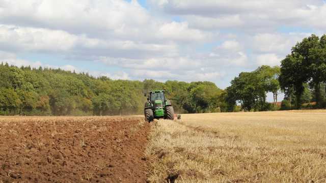 Розгляд закону про ринок землі можуть перенести на лютий, — «Слуга Народу»