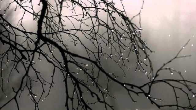 Будет по-весеннему тепло: появился актуальный прогноз погоды на начало недели в Украине