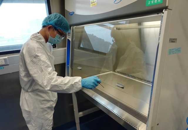 В Ухане еще в 2018 году обнаружили коронавирус, его переносили летучие мыши