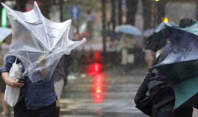 Штормовое предупреждение: киевлян призывают быть осторожными на дорогах из-за непогоды