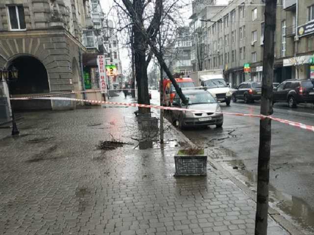 Упавшее дерево пробило авто: в сети показали фото последствий непогоды в Харькове