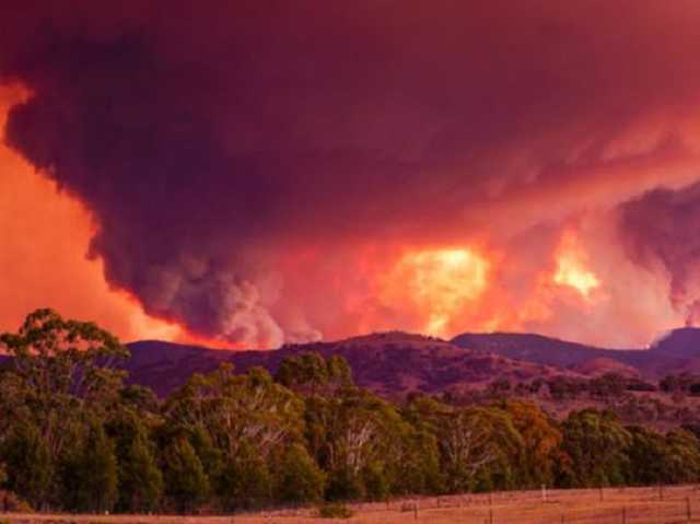 В Австралии снова пожары: ввели режим ЧП, а население готовят к эвакуации