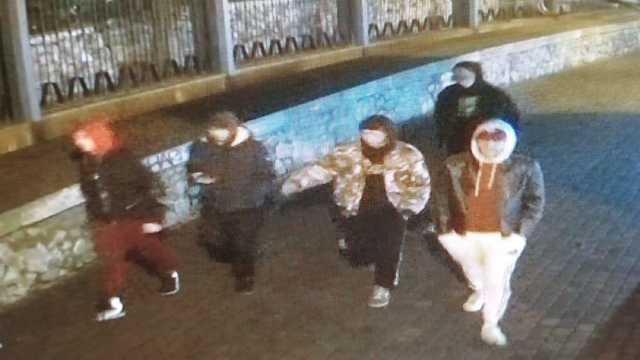 В Киеве задержали вандалов, которые повредили LED подсветку на Аллее Художников