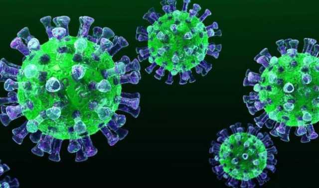 В Испании подтвержден первый случай заражения коронавирусом