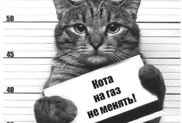 Не трогай животных: как "слуга народа" сплотил всю Украину