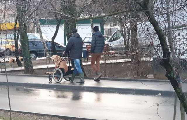 "Продать? Нищий душой, чувак!" Украинцев до слез растрогало фото харьковского "трио с собакой"