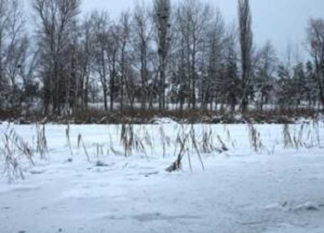 В Харькове в лесополосе обнаружили труп мужчины