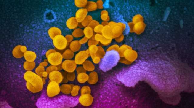 Коронавирус продолжает убивать: печальные цифры и фото "битвы за жизнь" в Китае