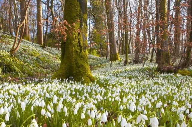 Какой будет весна в Украине: синоптики дали неутешительный прогноз погоды