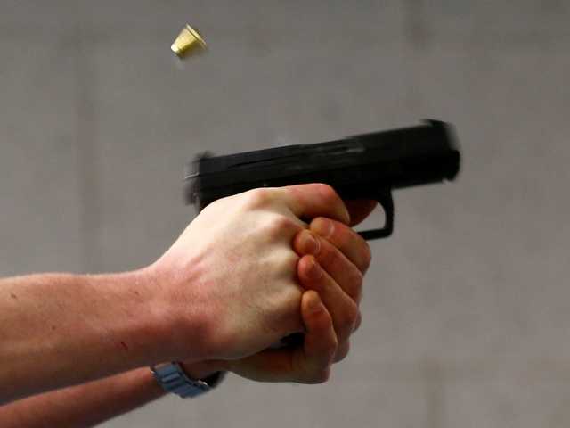 Грабители в масках со стрельбой напали на семью фермера в Одесской области