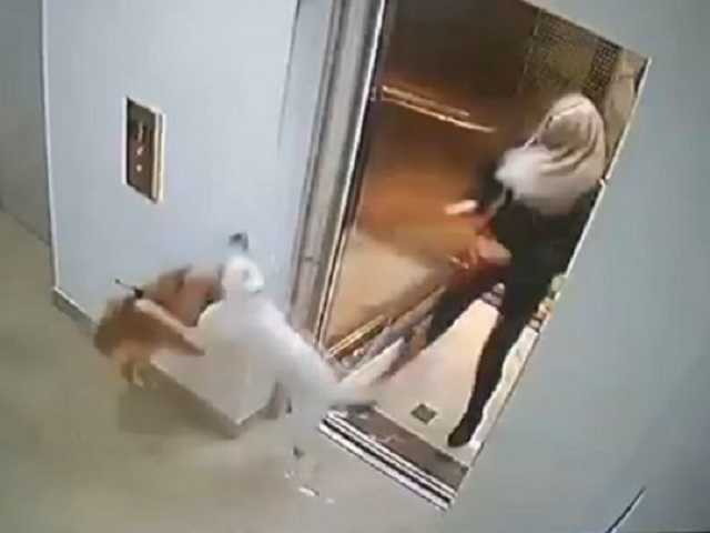 Собачье "смертоубийство" в Одессе: история получила неожиданное продолжение