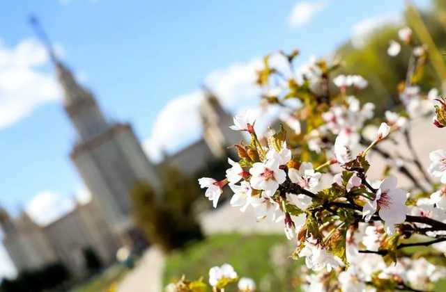 Украинцев предупредили об аномальной погоде весной