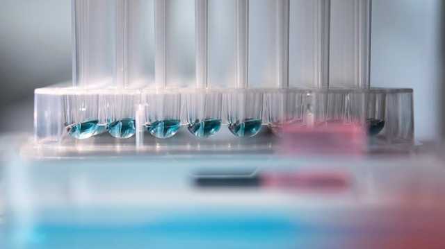 Перший випадок зараження коронавірусом виявлено в Німеччині