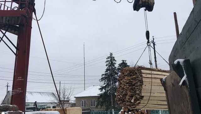 Житомирские таможенники помогали чиновникам Гослесагенства с контрабандой древесины