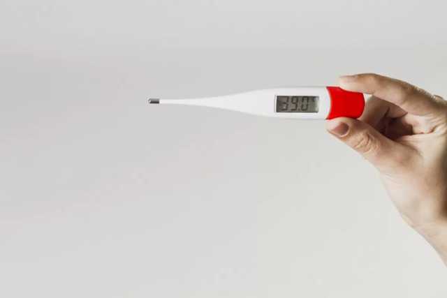 В аэропорту Николаева будут мерить температуру пассажиров из Египта