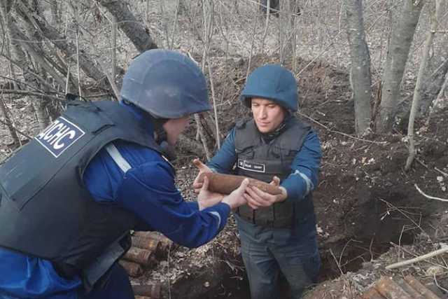 В лесу Одесской области обнаружили почти 400 боеприпасов времен Второй мировой