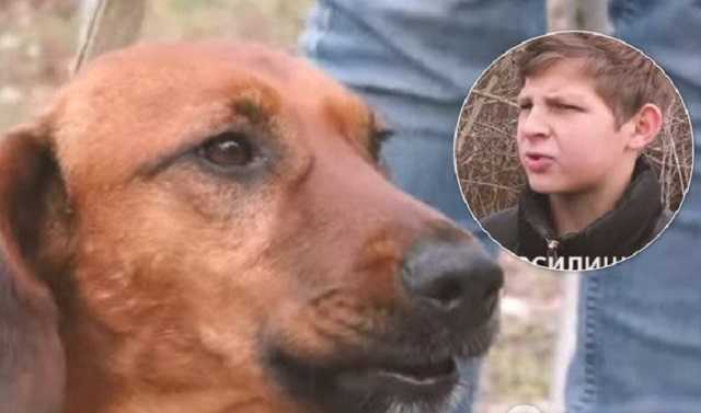 Рисковал жизнью: появилось показательное видео спасения собаки подростком на Львовщине