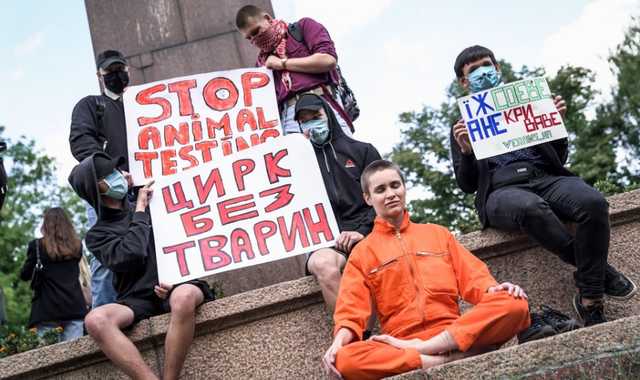 У Житомирі заборонили пересувні цирки з тваринами