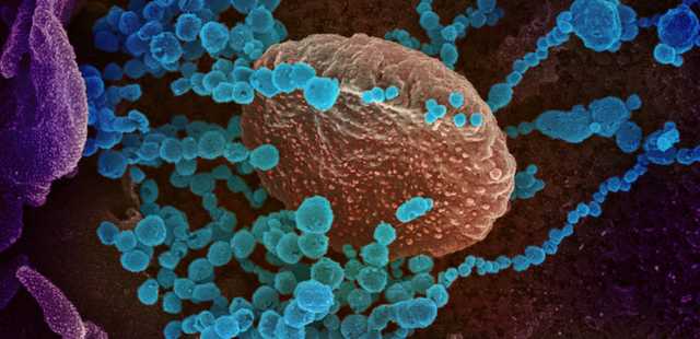 Коронавирус продолжает уверенно шагать по Европе