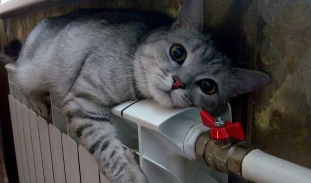 Киевлянам разрешили отключить централизованное отопление: как это сделать