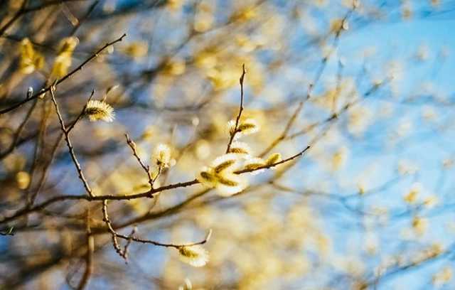 В Киеве новый температурный рекорд: самая теплая ночь за 140 лет