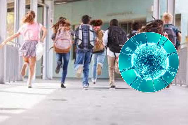 Весенние каникулы 2020: закроют ли школы и сколько будут отдыхать ученики