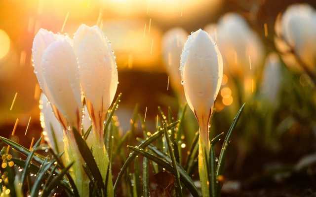 На Украину надвигается непогода: синоптик дала неутешительный прогноз