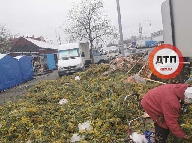 Свято закінчилося: у Києві виявили величезне звалище квітів