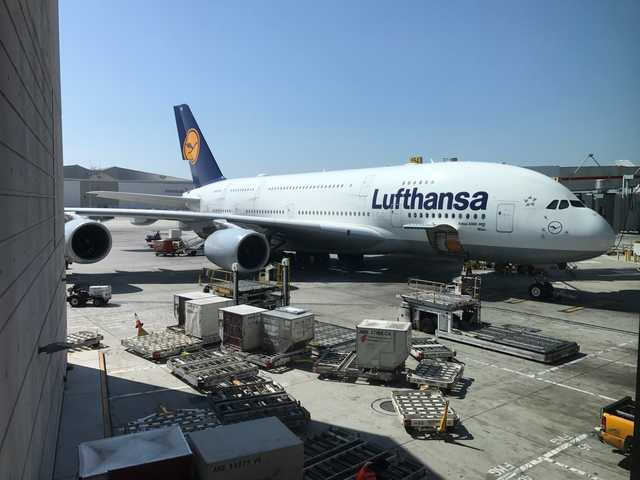 Lufthansa объявила об отмене почти всех своих рейсов