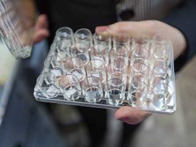 В Украине создали собственную систему выявления коронавируса